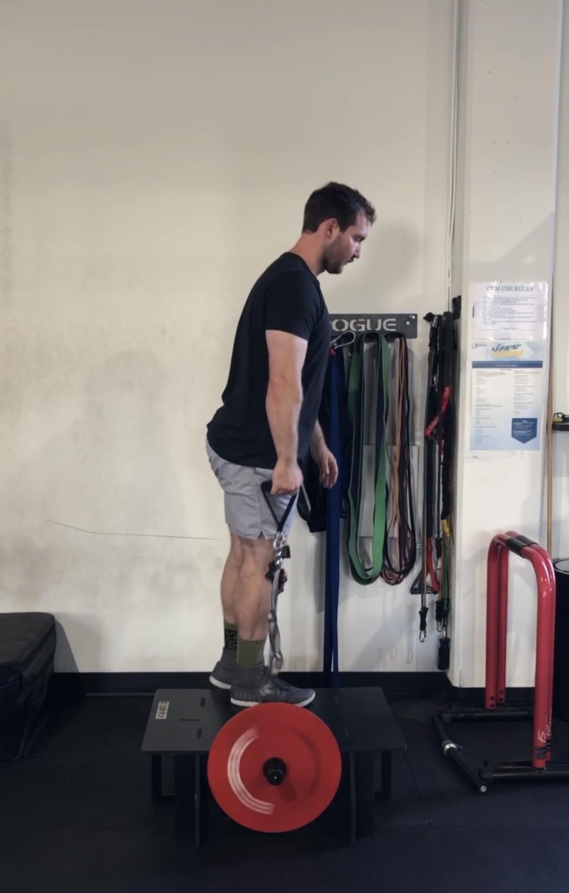 Flywheel Eccentric Quadriceps 